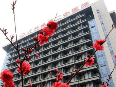 Jiangsu Second Hospital of Chinese Medicine